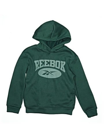 Reebok Pullover Hoodie (view 1)