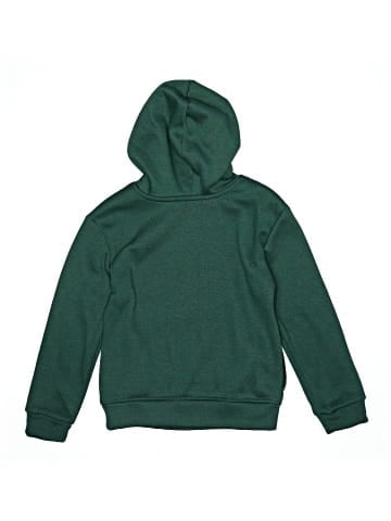 Reebok Pullover Hoodie (view 2)