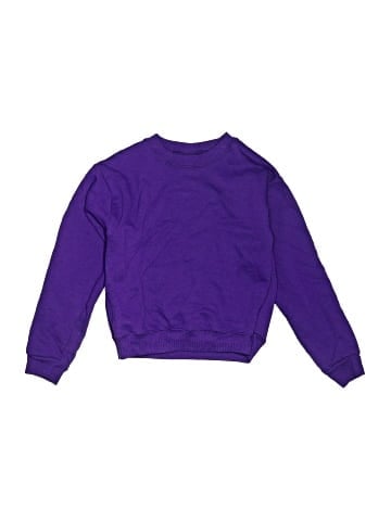 Hanes Pullover Sweater (view 1)