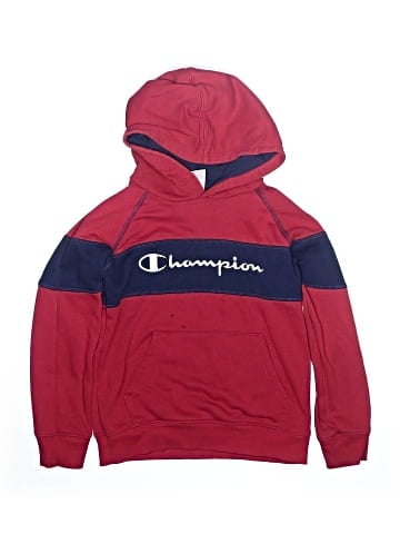 Champion Pullover Hoodie (view 1)