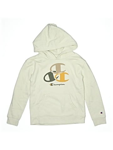 Champion Pullover Hoodie (view 1)