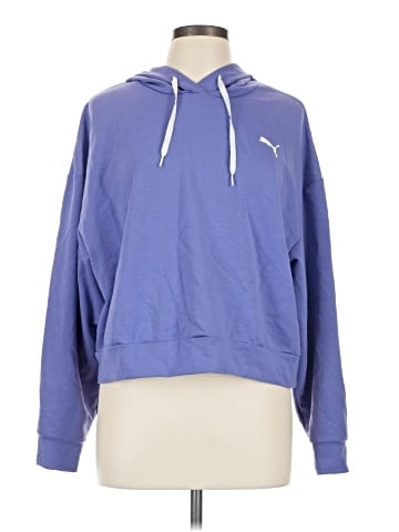 Puma Pullover Hoodie (view 1)