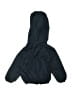 The Black Dog 100% Polyester Solid Blue Windbreaker 12-18 MO / 18 MO - photo 2