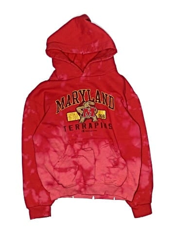 Champion Pullover Hoodie (view 1)