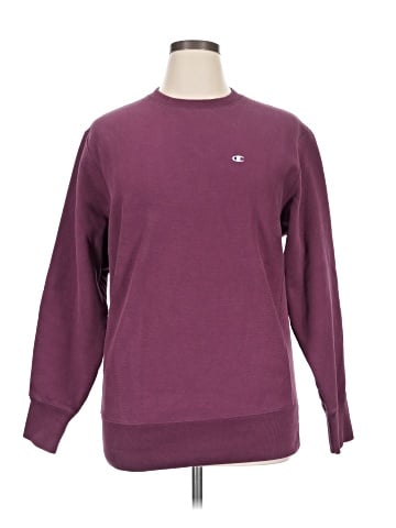 Champion Sweatshirt (view 1)