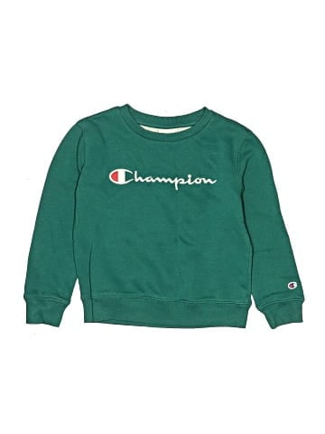 Champion Sweatshirt (view 1)