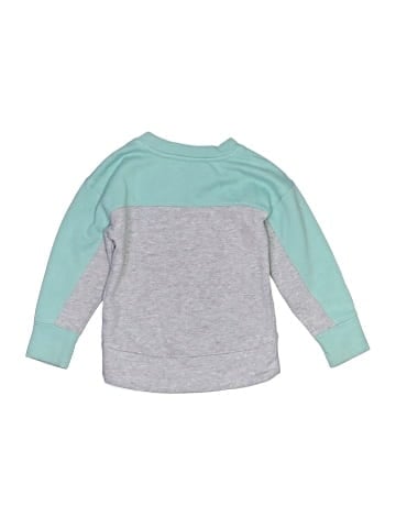 The North Face Sweatshirt (view 2)