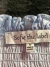 Sofie The label Blue Casual Skirt Size M - photo 4