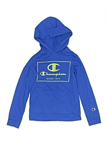 Champion Pullover Hoodie (view 1)