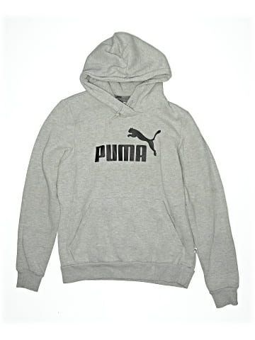 Puma Pullover Hoodie (view 1)