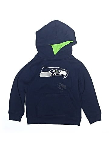 Team Apparel Pullover Hoodie (view 1)