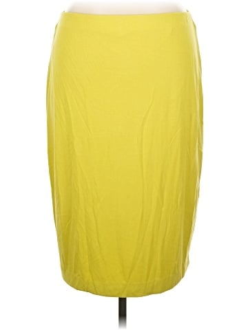 Express Casual Skirt (view 1)