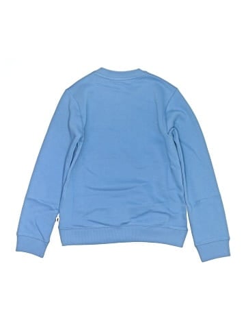 Cotopaxi Sweatshirt (view 2)