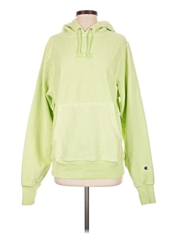 Champion Pullover Hoodie (view 1)