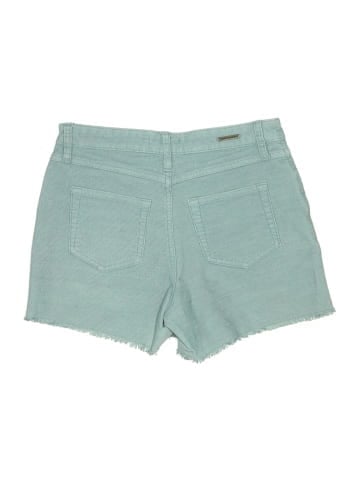 Carve Designs Denim Shorts (view 2)