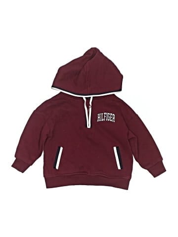Tommy Hilfiger Zip Up Hoodie (view 1)