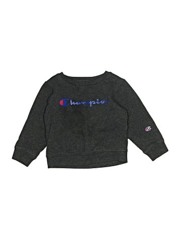 Champion Pullover Sweater (view 1)