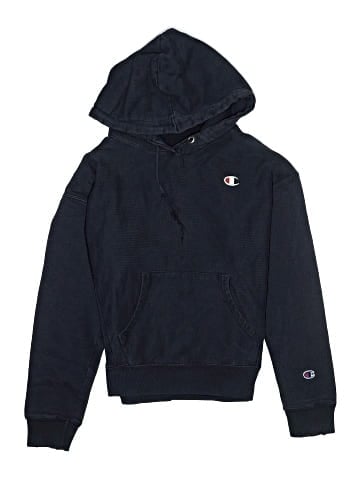 Champion Pullover Hoodie (view 1)