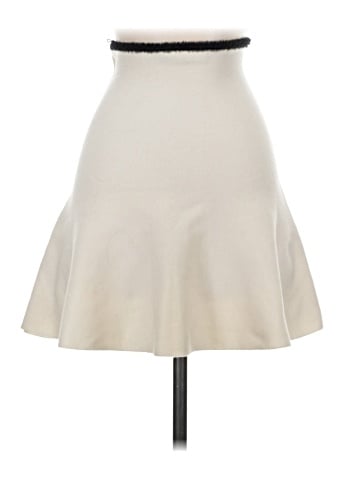 Zara Formal Skirt (view 2)