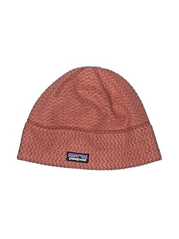 Patagonia Beanie (view 1)