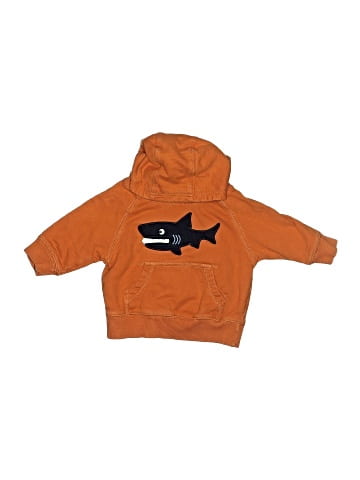 Gymboree Pullover Hoodie (view 1)