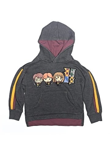 Harry Potter Pullover Hoodie (view 1)