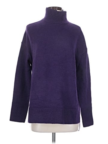 Express Turtleneck Sweater (view 1)