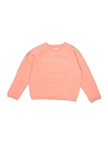 Bonpoint Sweatshirt (view 1)