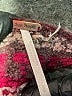 Free People Chevron-herringbone Burgundy Pullover Sweater Size S - photo 7