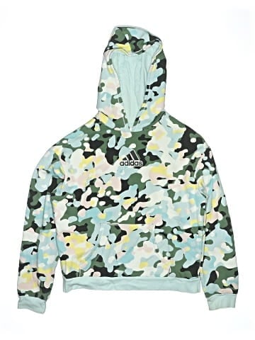 Adidas Pullover Hoodie (view 1)