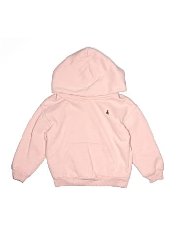 Baby Gap Zip Up Hoodie (view 1)