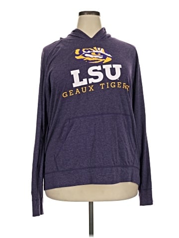 Champion Pullover Hoodie (view 1)