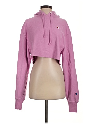 Champion Sweatshirt (view 1)