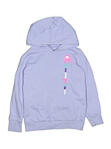 Champion Sweatshirt (view 1)
