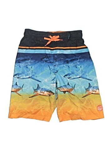 ZeroXposur Board Shorts (view 1)