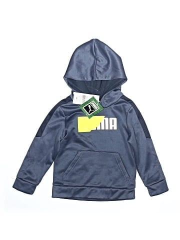 Puma Pullover Hoodie (view 1)