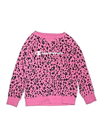 Champion Pullover Sweater (view 1)