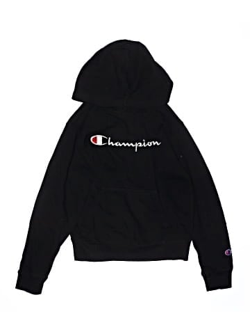 Champion Pullover Hoodie (view 1)