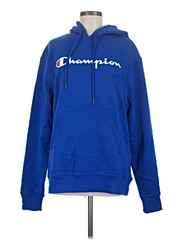 Champion Pullover Hoodie (view 1)