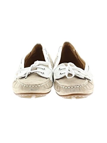 Sebago Flats (view 2)