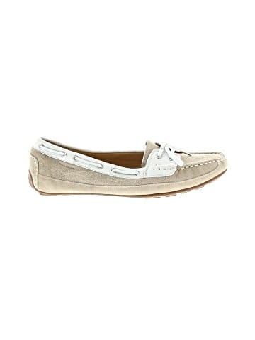 Sebago Flats (view 1)