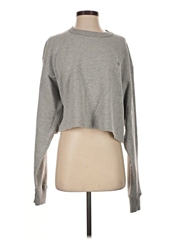 Champion Sweatshirt (view 1)