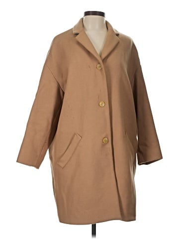 Everlane Coat (view 1)