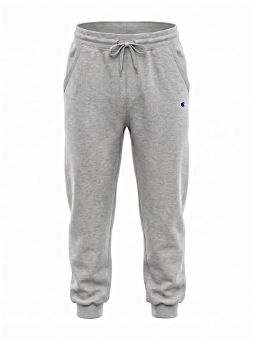 Champion Sweatpants (view 1)
