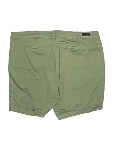 Kut from the Kloth Khaki Shorts (view 2)