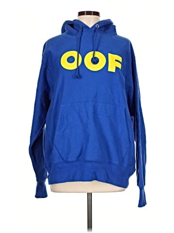Champion Pullover Hoodie (view 1)