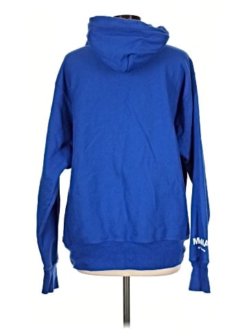 Champion Pullover Hoodie (view 2)