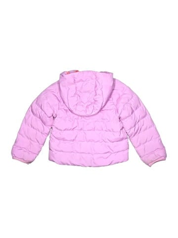 The North Face Snow Jacket (view 2)