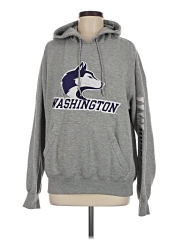 Champion Pullover Hoodie (view 1)