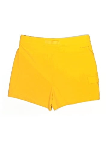 The North Face Shorts (view 2)